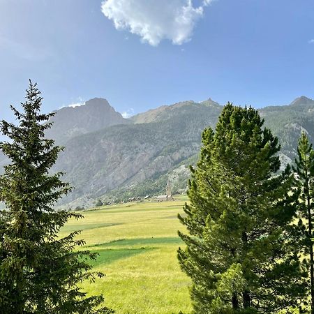 Gite Montagne 1 A 25 Places "Chalet Coste Belle" Ceillac Esterno foto